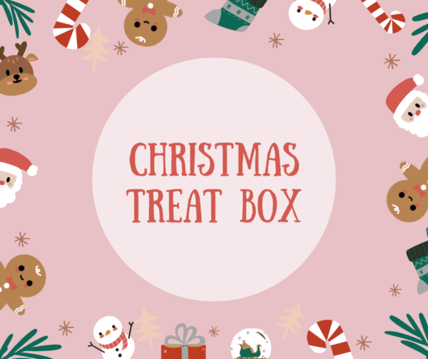 Christmas Treat Box